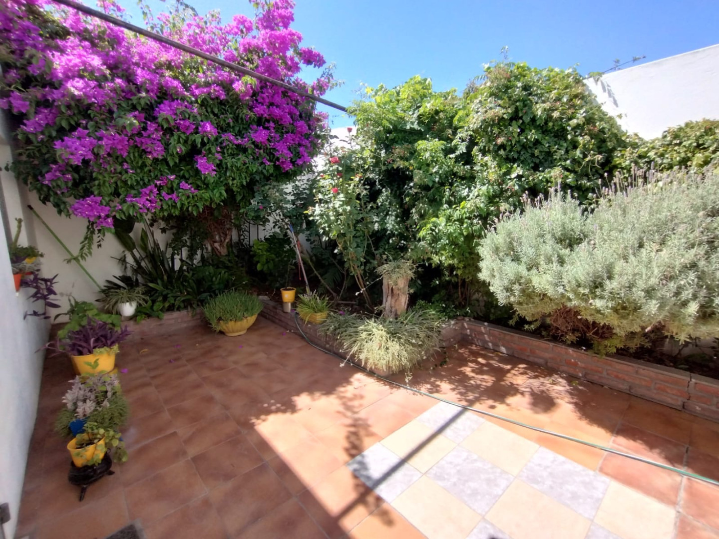 Casa en Venta en Teniente Farías 800, San Martin, Bahía Blanca - Bahía Blanca Propiedades | SITIO OFICIAL l