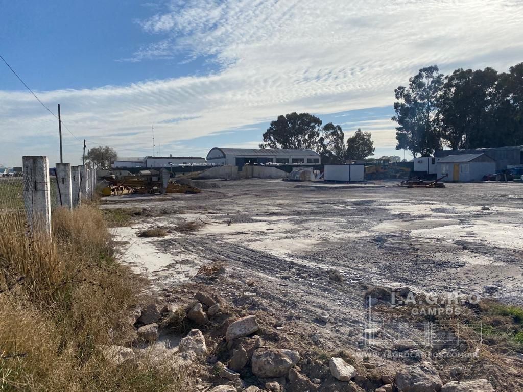 Galpón en Venta en Charlone Y Ruta 3,  Bahía Blanca - Bahía Blanca Propiedades | SITIO OFICIAL l