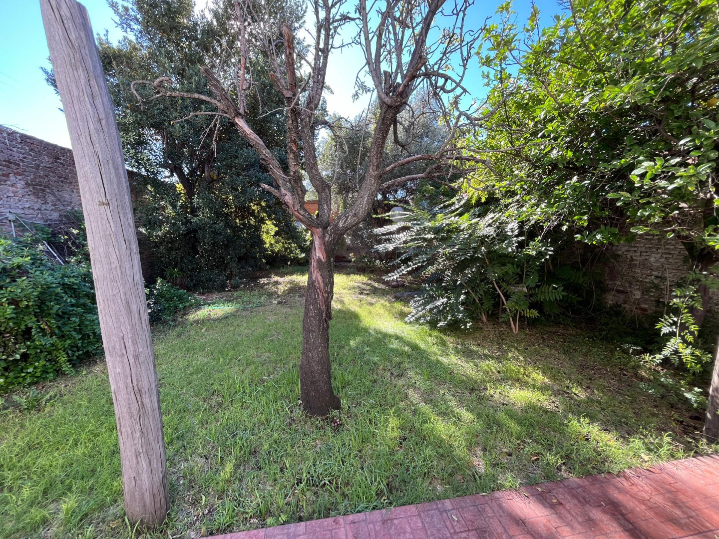Casa en Venta en Saavedra 662, Centro, Bahía Blanca - Bahía Blanca Propiedades | SITIO OFICIAL l