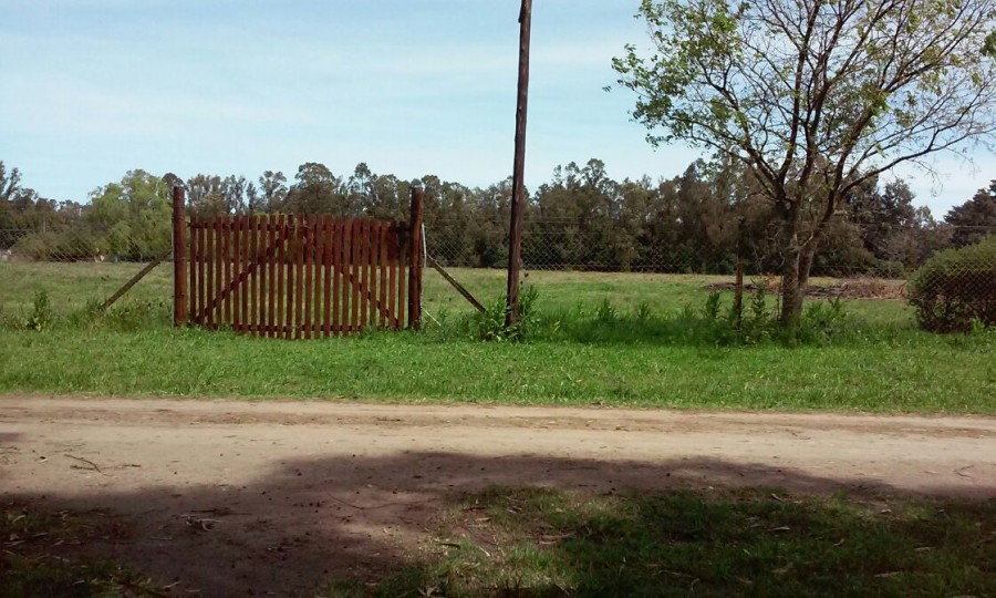 Campo  en Venta en Ciudad De Miramar,  Miramar - Bahía Blanca Propiedades | SITIO OFICIAL l