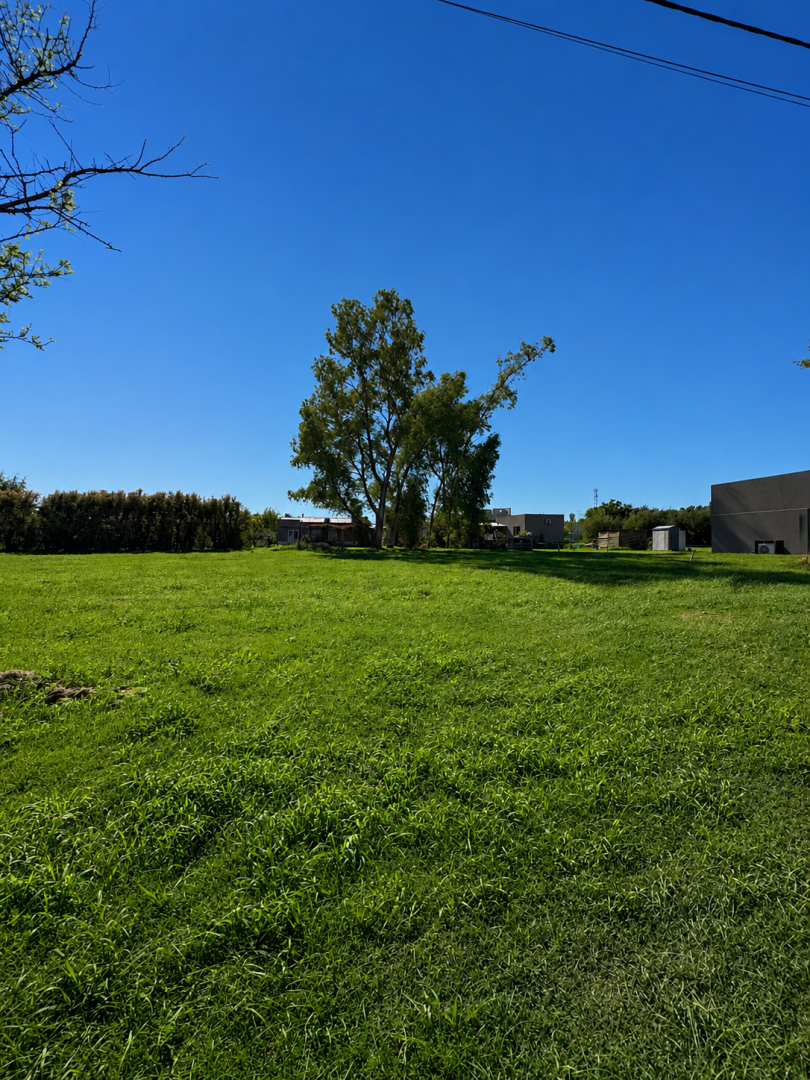 Terreno en Venta en Ruta 229 Km 17, Pago Chico, Punta Alta - Bahía Blanca Propiedades | SITIO OFICIAL l