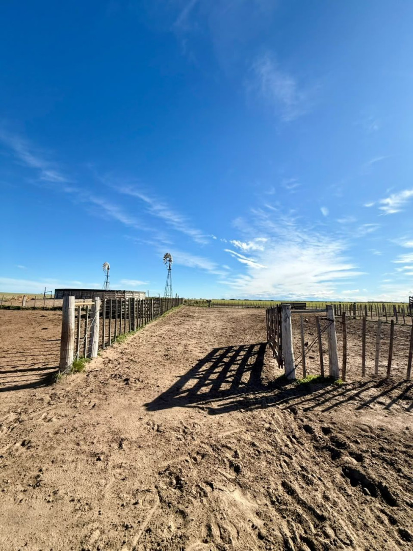 Campo  en Venta   Villalonga - Bahía Blanca Propiedades | SITIO OFICIAL l