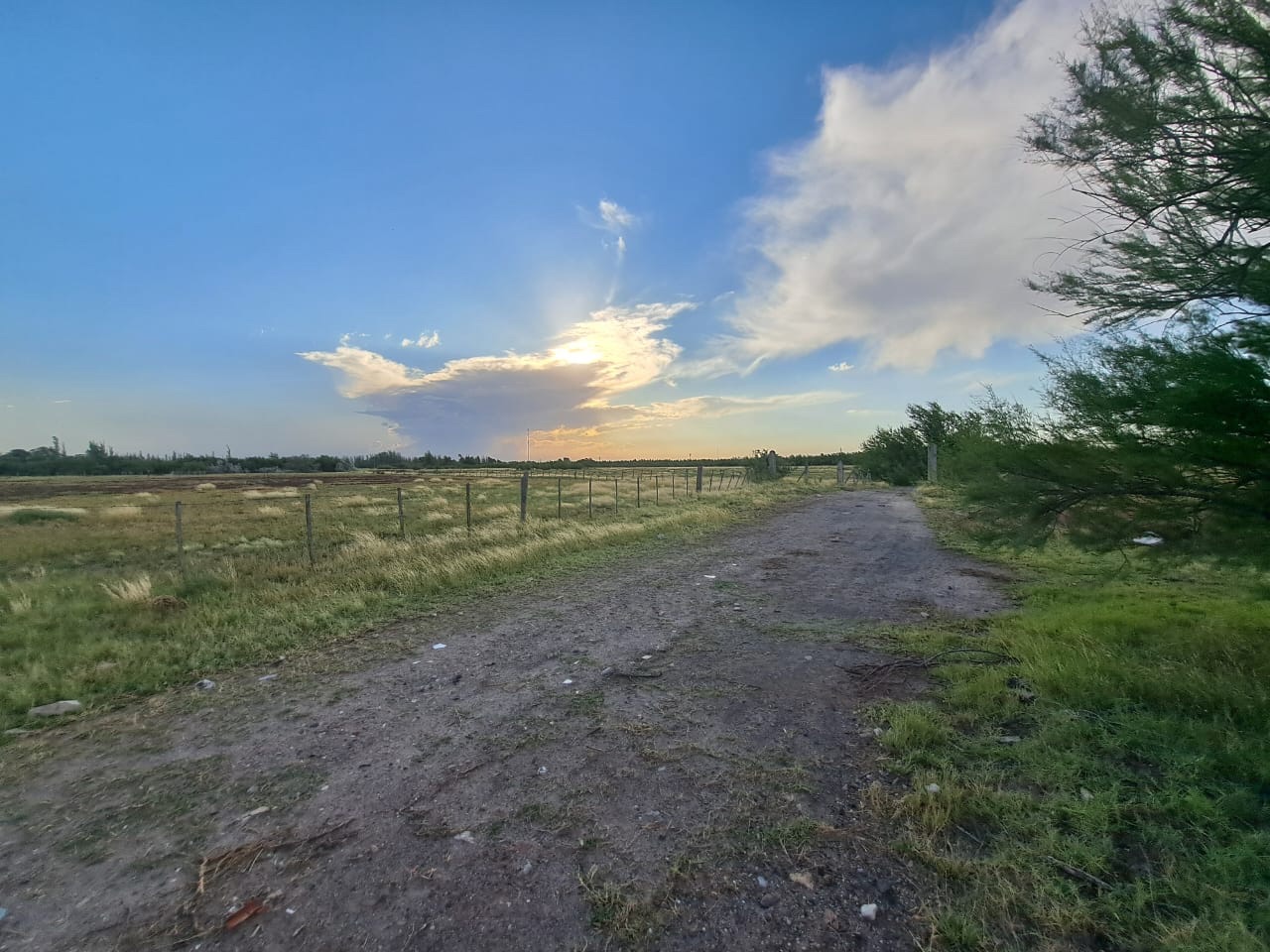 Terreno en Venta en Urquiza 1600,  General Cerri - Bahía Blanca Propiedades | SITIO OFICIAL l