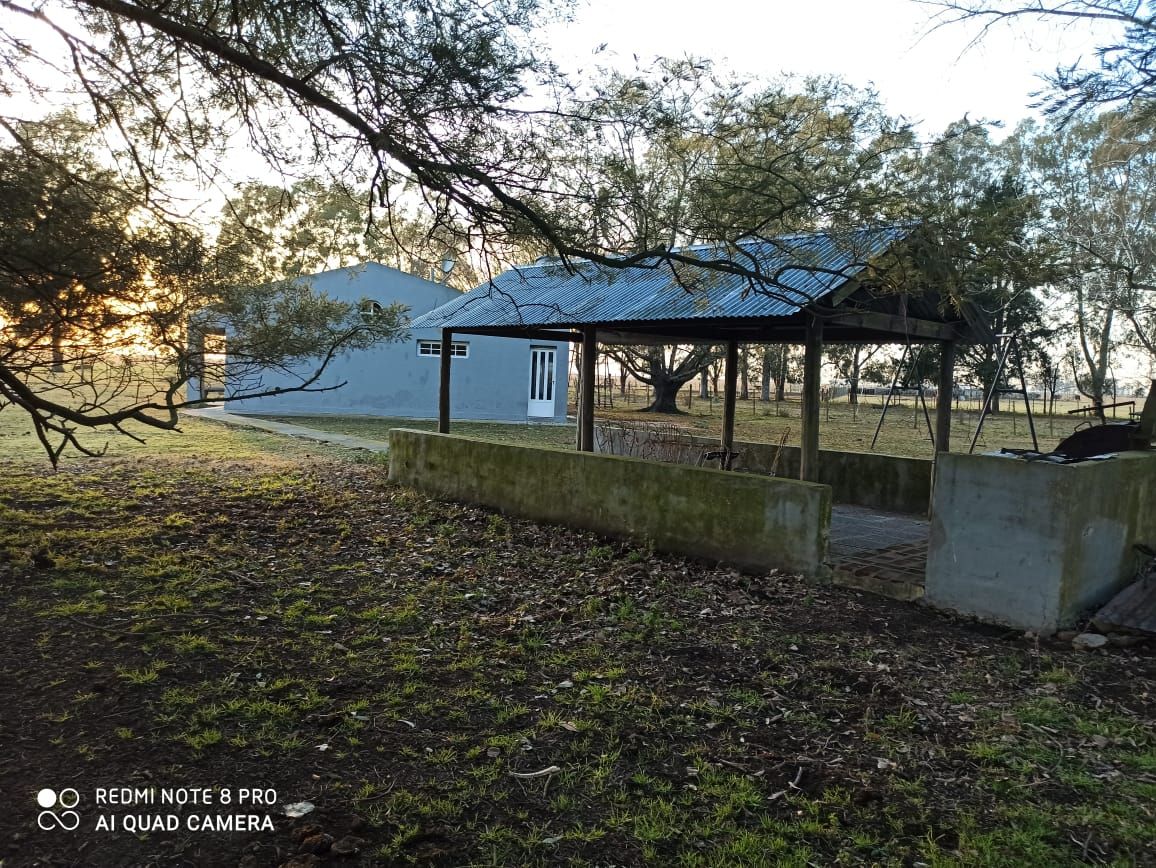 Campo  en Venta - Bahía Blanca Propiedades | SITIO OFICIAL l