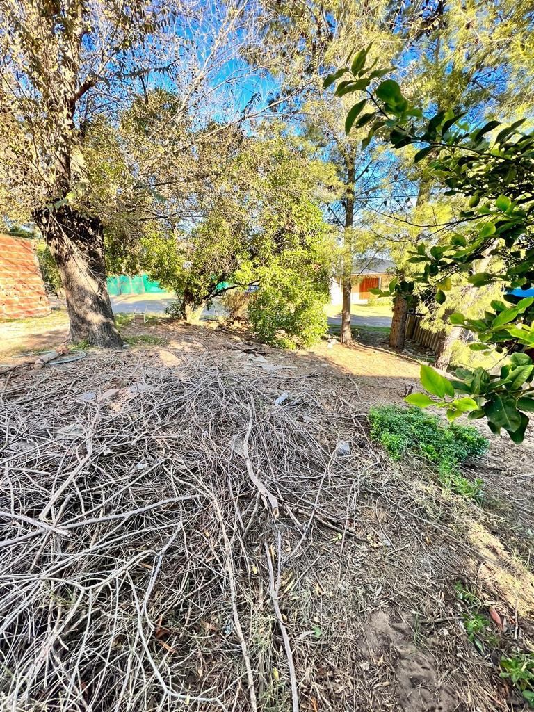 Terreno en Venta en  E. Plache, Entre Orense Y Bernabé Rodríguez, El Sauce, Monte Hermoso - Bahía Blanca Propiedades | SITIO OFICIAL l