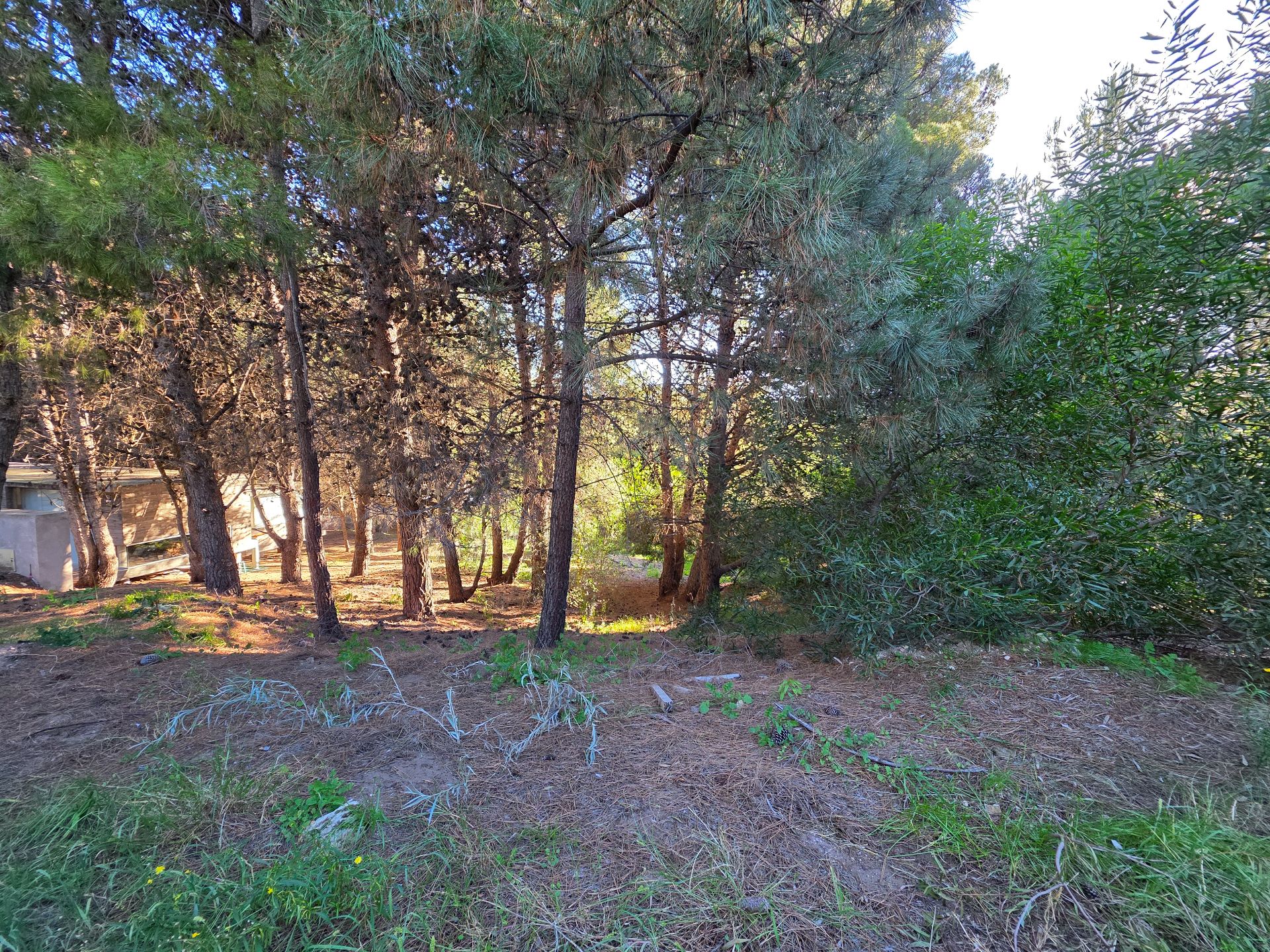 Terreno en Venta en Las Cotorras, Monte del Este, Monte Hermoso - Bahía Blanca Propiedades | SITIO OFICIAL l