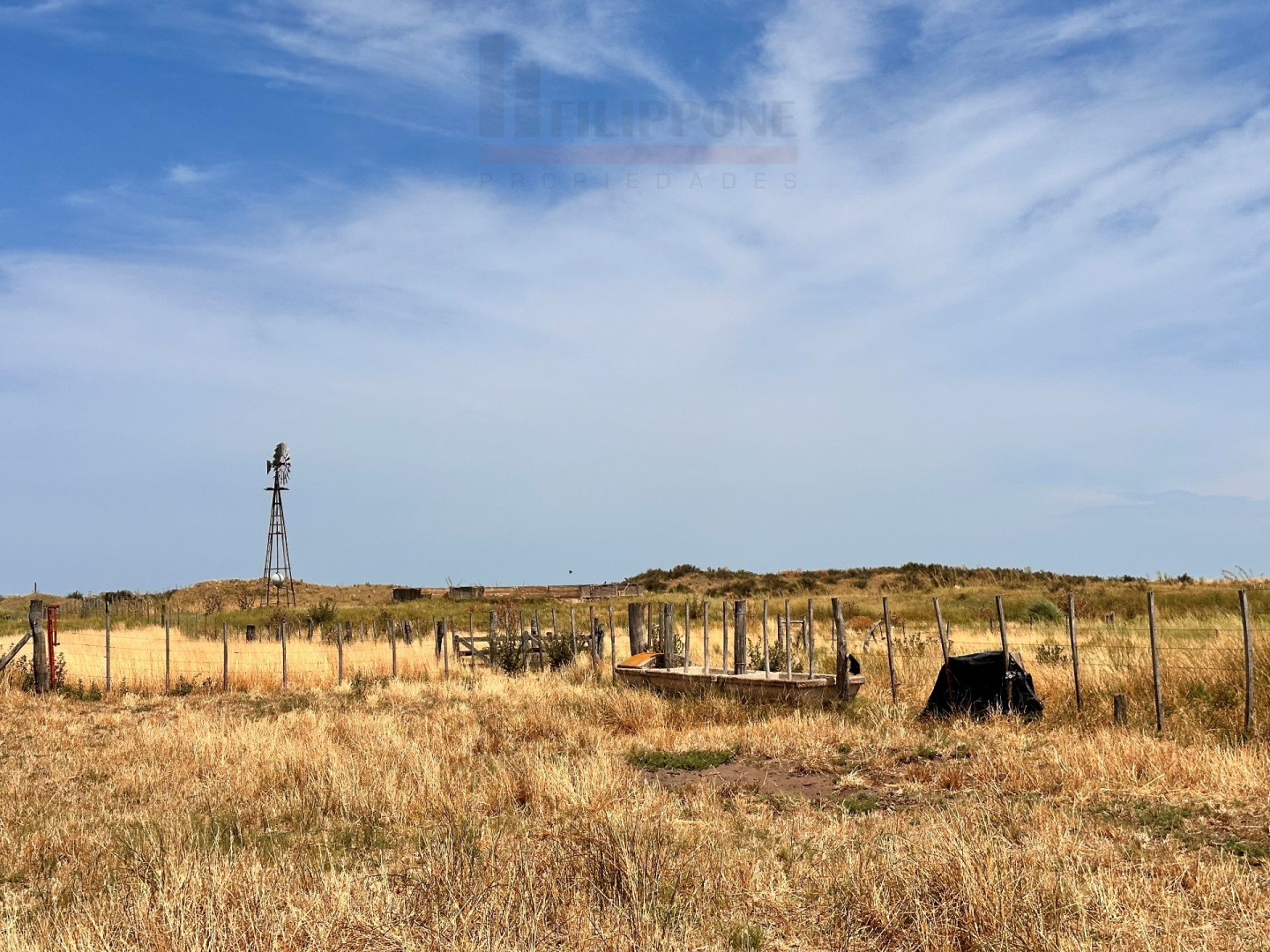 Campo  en Venta   Coronel Dorrego - Bahía Blanca Propiedades | SITIO OFICIAL l