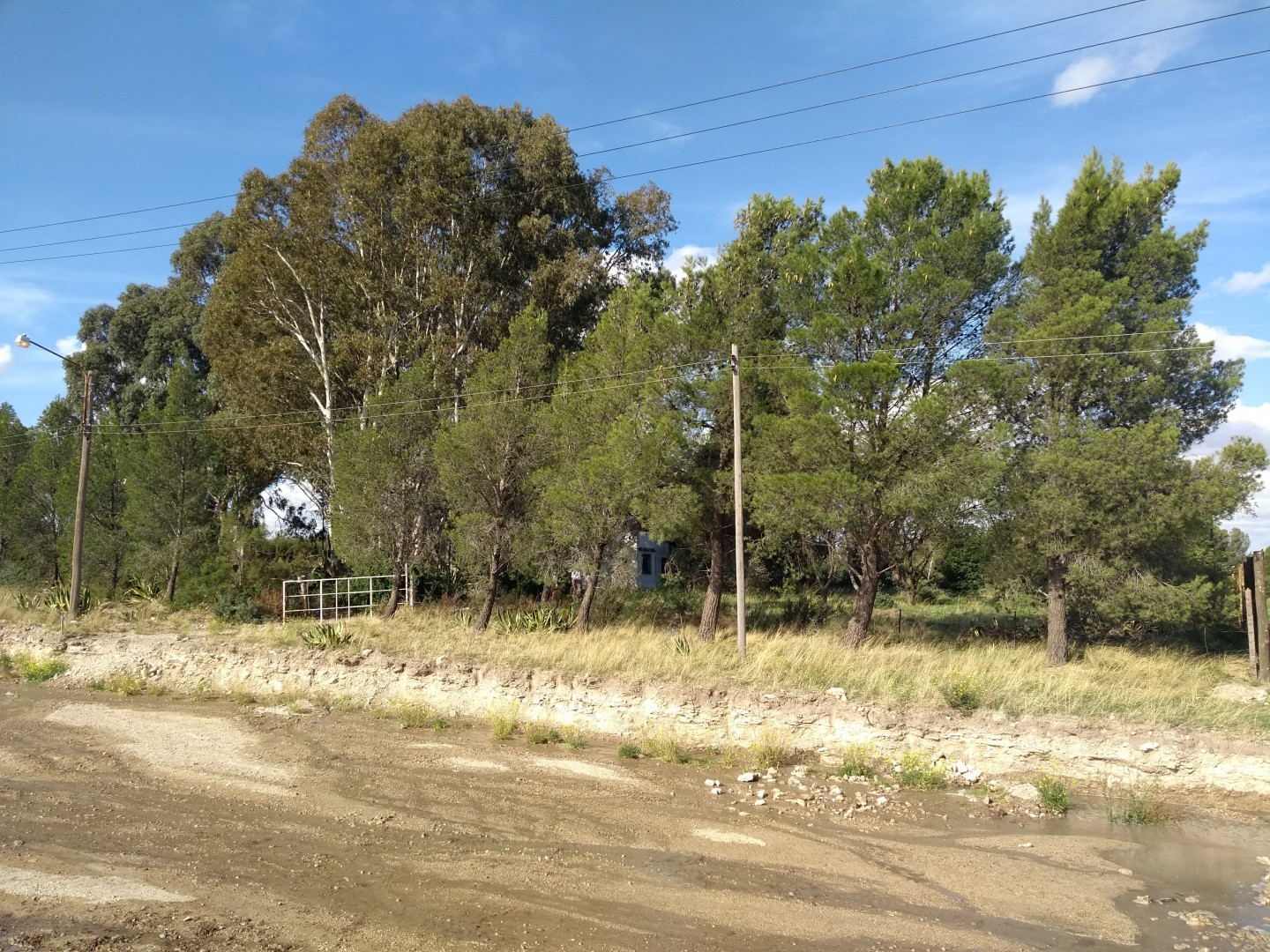 Terreno en Venta   Bahía Blanca - Bahía Blanca Propiedades | SITIO OFICIAL l