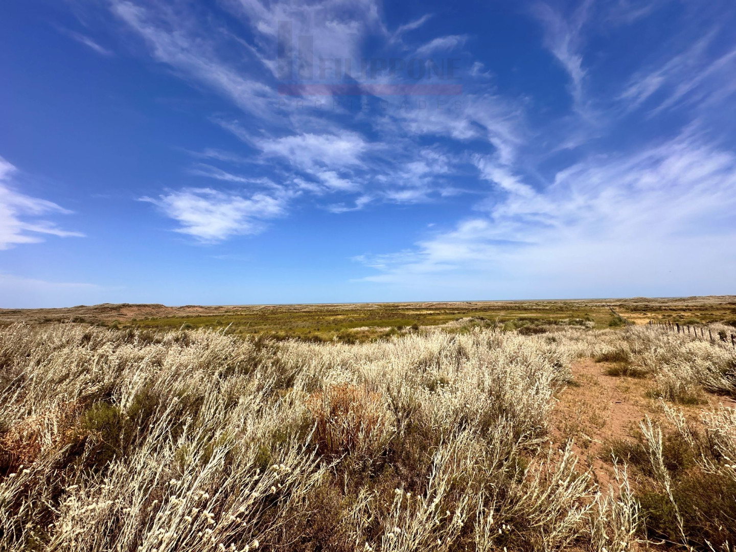 Campo  en Venta   Coronel Dorrego - Bahía Blanca Propiedades | SITIO OFICIAL l