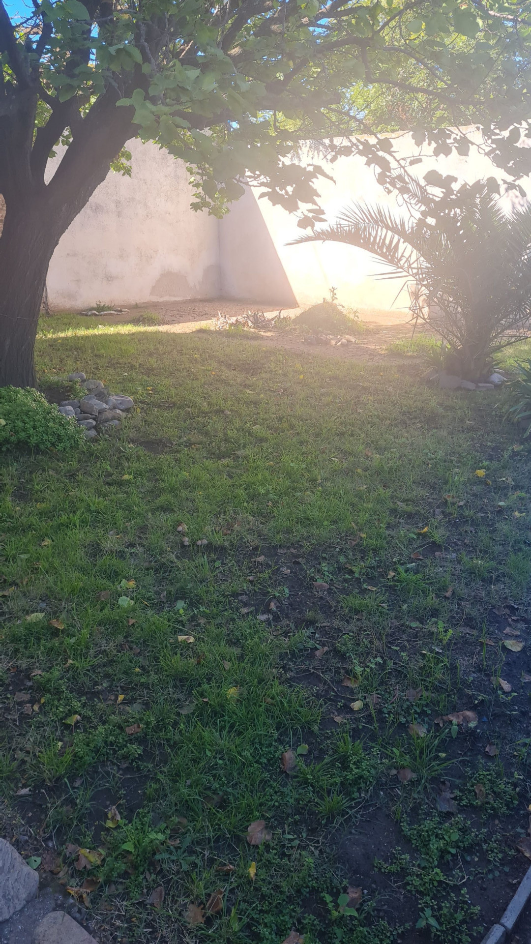 Casa con Local en Venta en San Lorenzo 2984,  Bahía Blanca - Bahía Blanca Propiedades | SITIO OFICIAL l