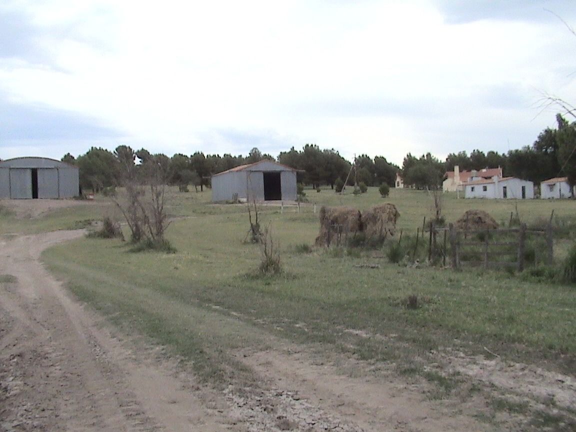 Campo  en Venta en Partido De Puan,  Puan - Bahía Blanca Propiedades | SITIO OFICIAL l