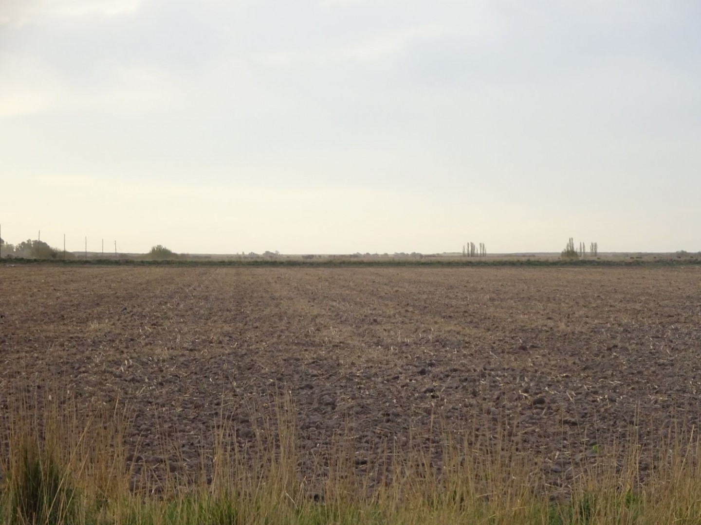 Campo  en Venta en Partido De Villarino ,  Villarino - Bahía Blanca Propiedades | SITIO OFICIAL l