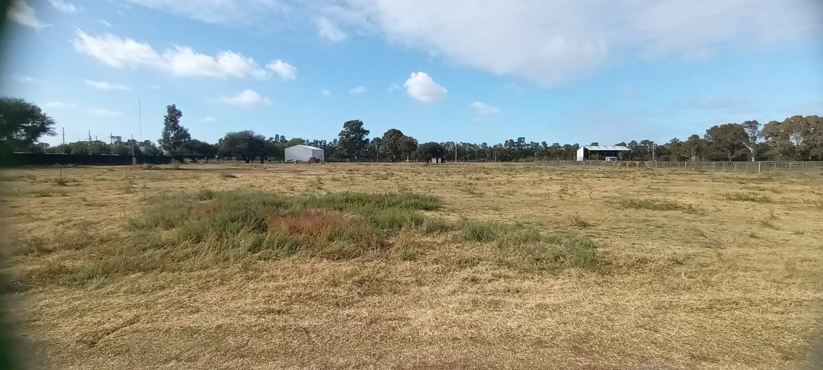 Terreno en Venta en PAULA ALBARRACIN Y LIBANO, Villa Bordeu, Bahía Blanca - Bahía Blanca Propiedades | SITIO OFICIAL l