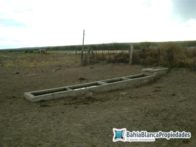 Campo  en Venta en ALGARROBO,  Villarino - Bahía Blanca Propiedades | SITIO OFICIAL l