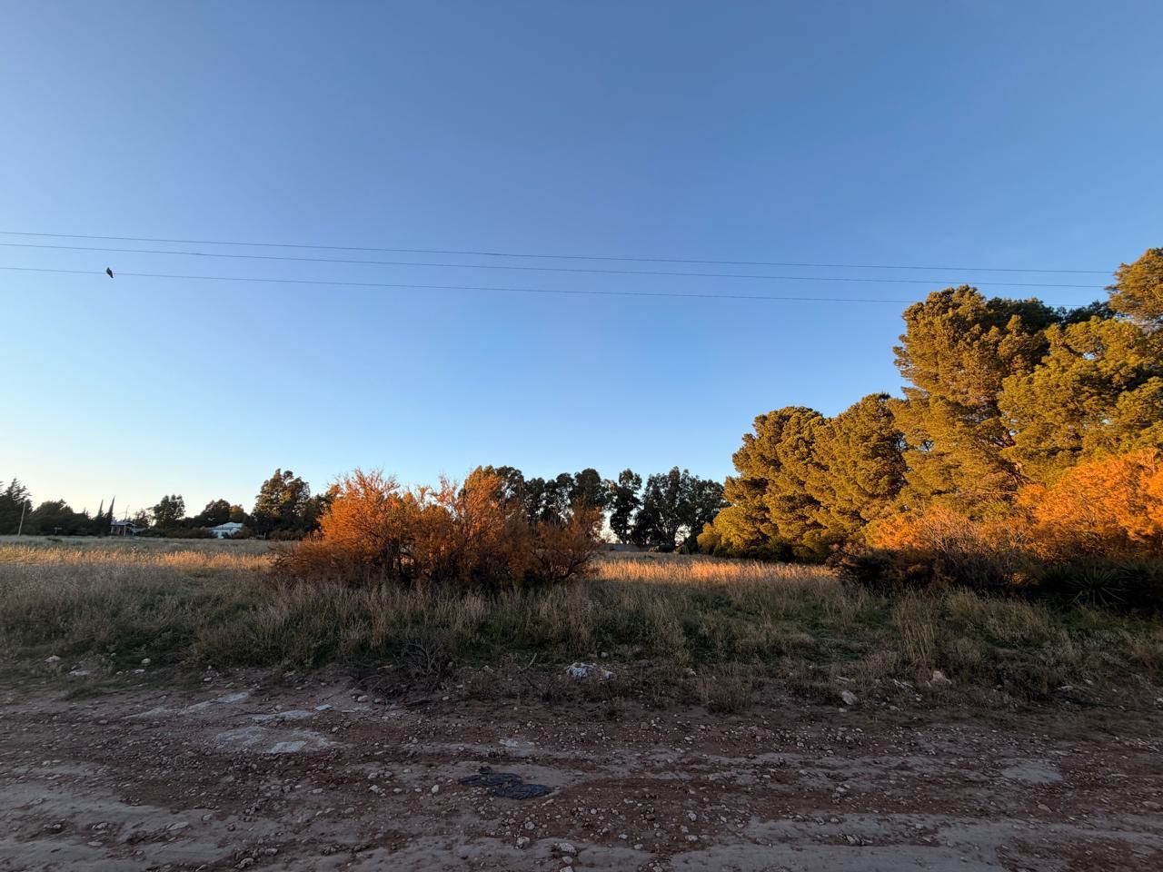 Terreno en Venta en Arlt 1960,  Bahía Blanca - Bahía Blanca Propiedades | SITIO OFICIAL l