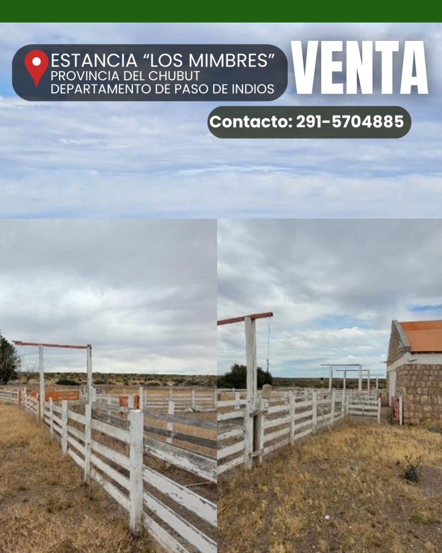 Campo  en Venta en Ruta Provincial 40 ,  Paso de Indios - Chubut - Bahía Blanca Propiedades | SITIO OFICIAL l