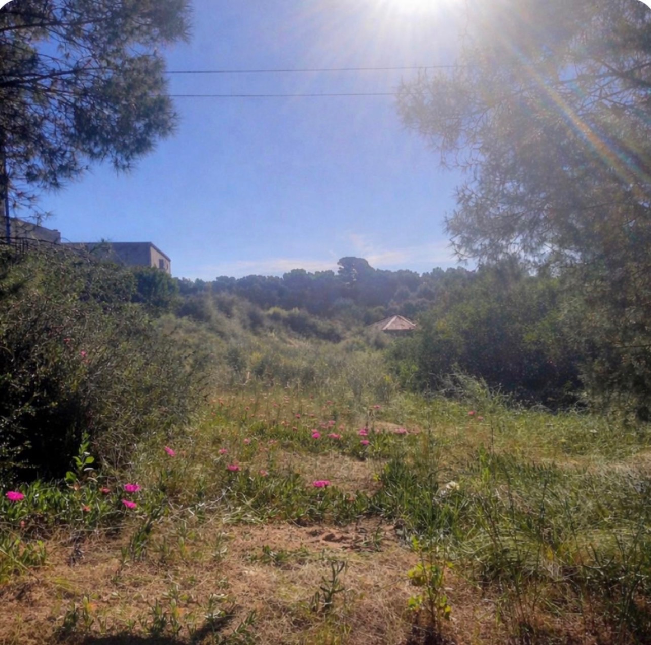Terreno en Venta en Walich,  Pehuen Co - Bahía Blanca Propiedades | SITIO OFICIAL l