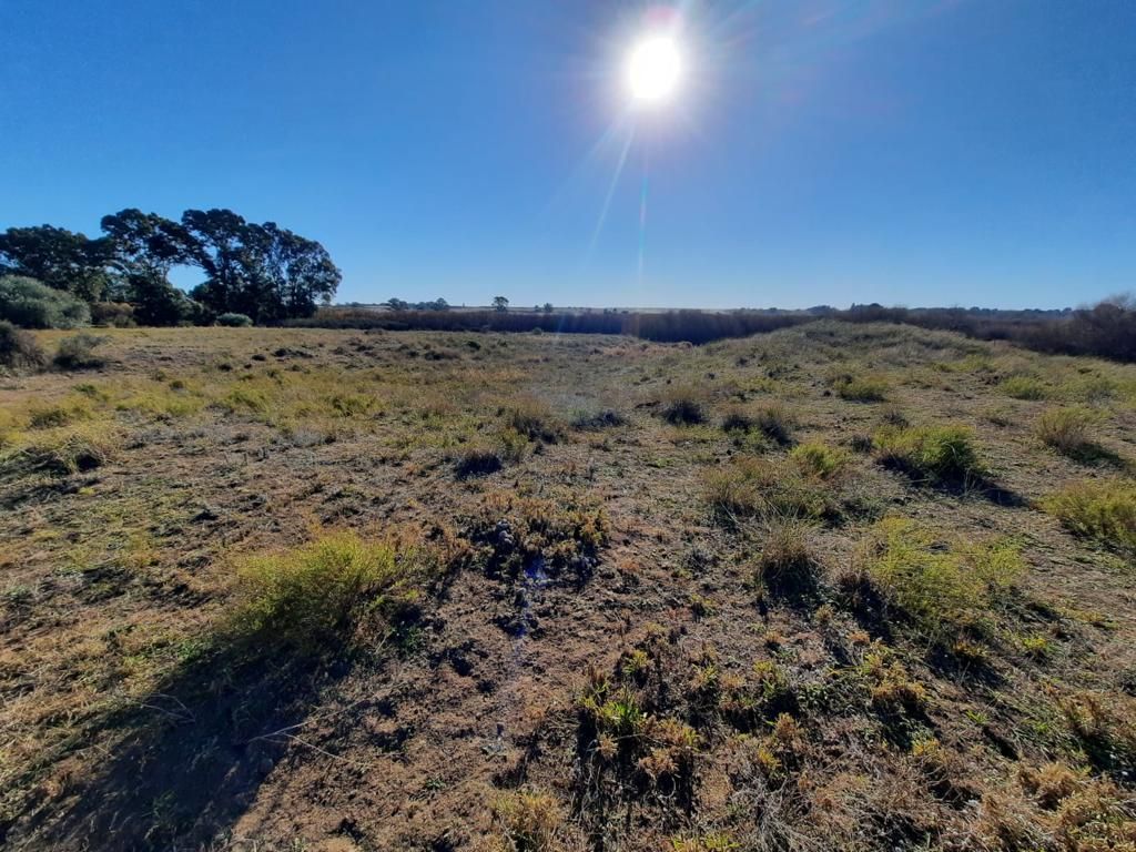 Terreno en Venta en Cabrera 3200,  Bahía Blanca - Bahía Blanca Propiedades | SITIO OFICIAL l