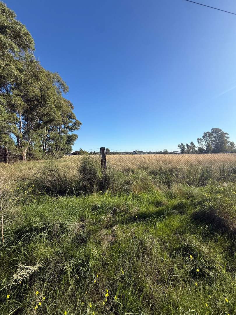 Terreno en Venta en Angel Marcos & Bermudez, Oro Verde, Bahía Blanca - Bahía Blanca Propiedades | SITIO OFICIAL l