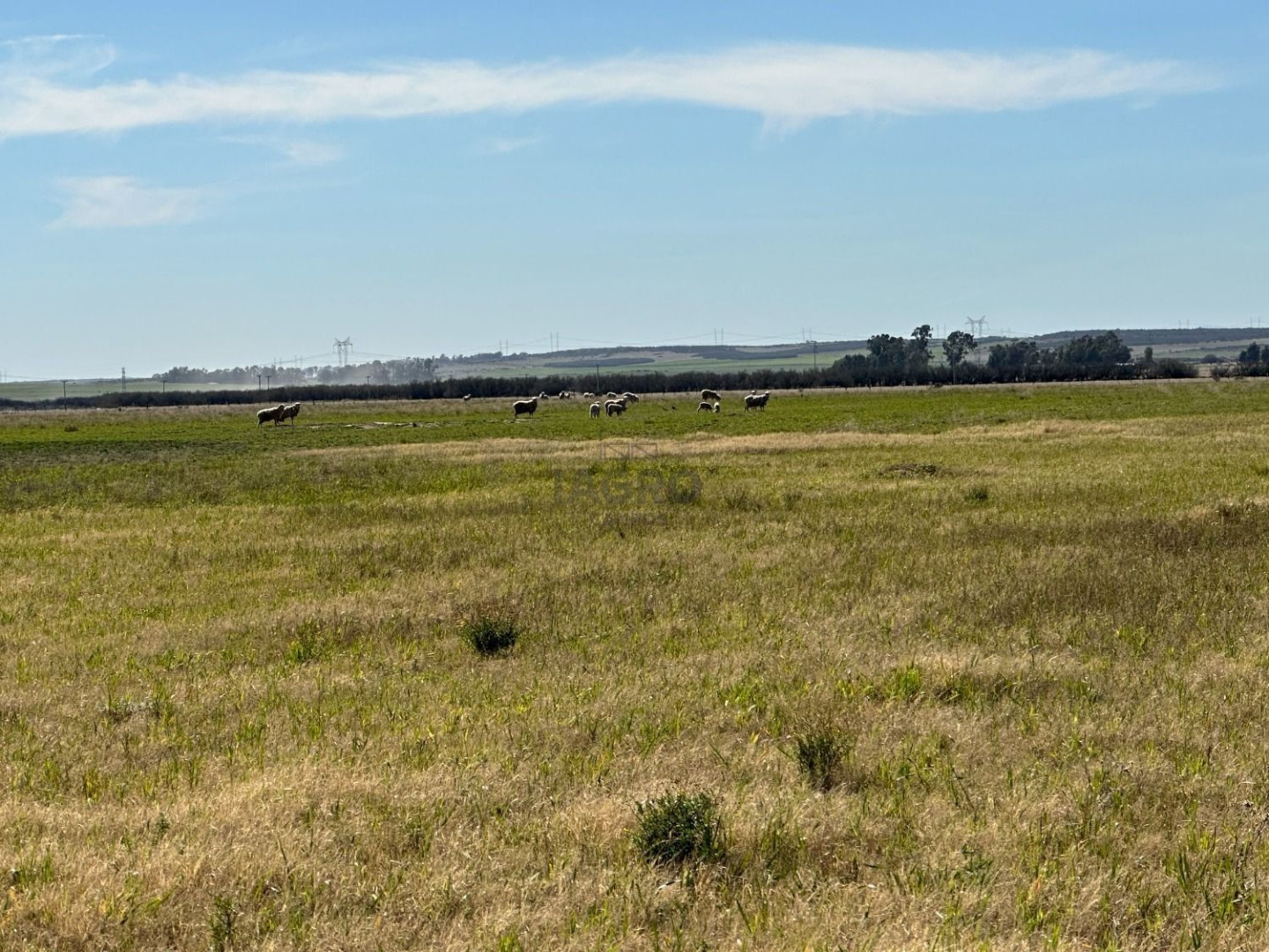 Campo  en Venta en Bahia Blanca,  Bahía Blanca - Bahía Blanca Propiedades | SITIO OFICIAL l