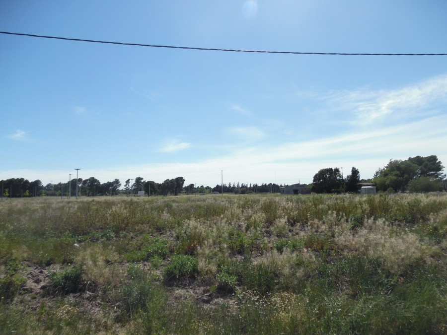 Terreno en Venta en Barrio Nueva Belgrano, Nueva Belgrano, Bahía Blanca - Bahía Blanca Propiedades | SITIO OFICIAL l