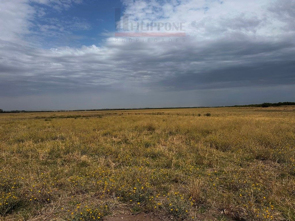 Campo  en Venta en Ruta Nacional 35 Km15,  Bahía Blanca - Bahía Blanca Propiedades | SITIO OFICIAL l