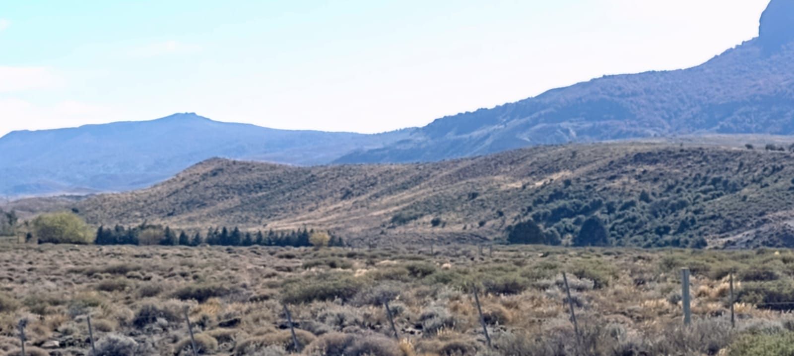 Terreno en Venta   Neuquén - Bahía Blanca Propiedades | SITIO OFICIAL l