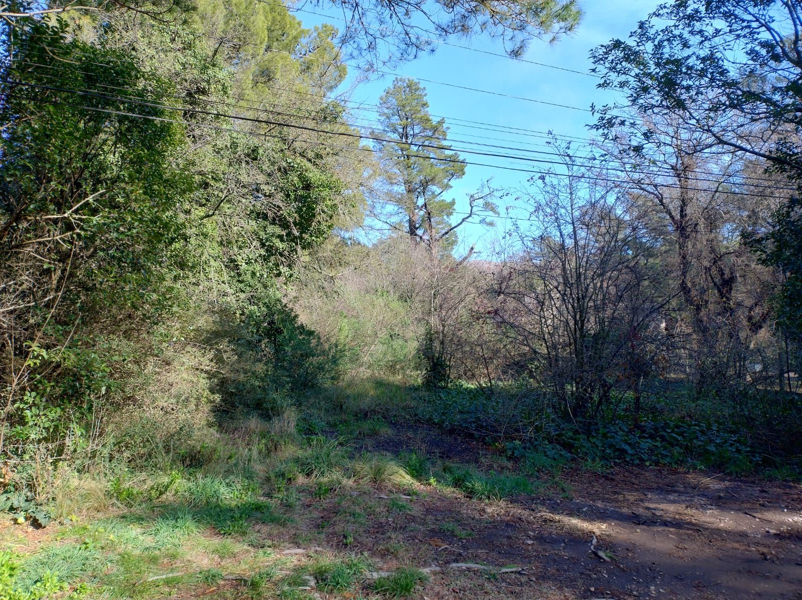 Terreno en Venta en Gorrión - Bahía Blanca Propiedades | SITIO OFICIAL l