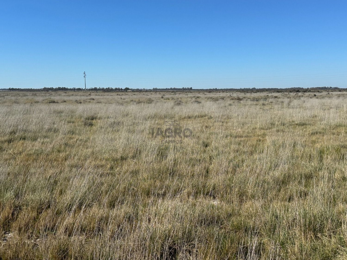 Campo  en Venta en Bahia Blanca,  Bahía Blanca - Bahía Blanca Propiedades | SITIO OFICIAL l