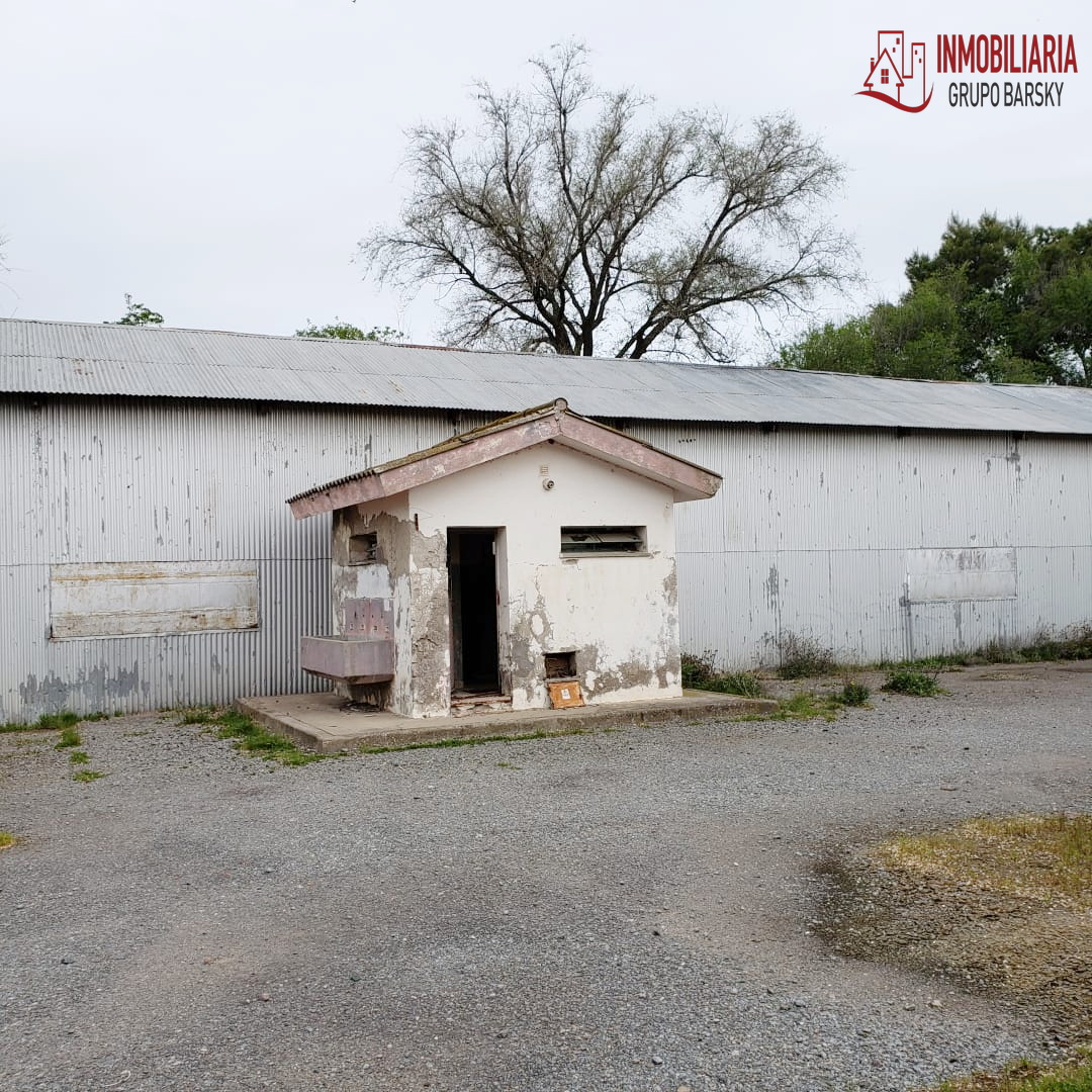 Campo  en Venta   Coronel Dorrego - Bahía Blanca Propiedades | SITIO OFICIAL l