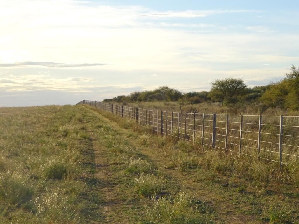 Campo  en Venta   Medanos - Bahía Blanca Propiedades | SITIO OFICIAL l