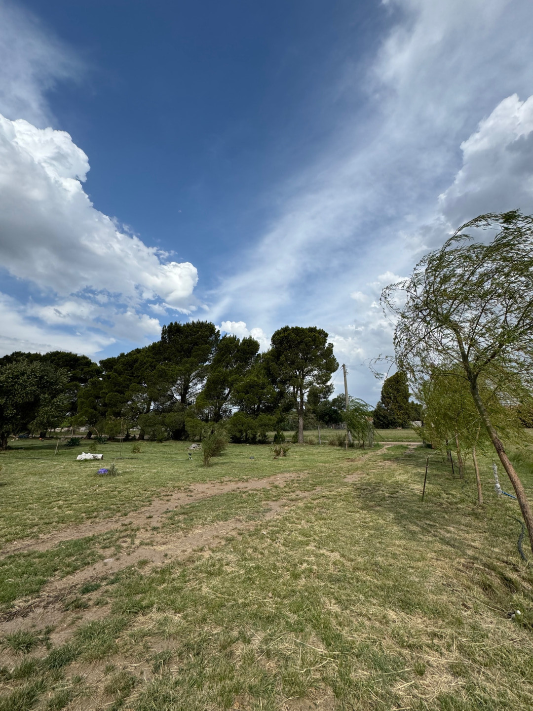 Casaquinta en Venta en Gabino Prieto Y Tres Lomas ,  Villa Iris - Bahía Blanca Propiedades | SITIO OFICIAL l