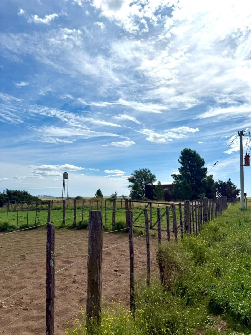 Campo  en Venta en A 4 Kilómetros De La Ruta 3.,  Teniente Origone - Bahía Blanca Propiedades | SITIO OFICIAL l