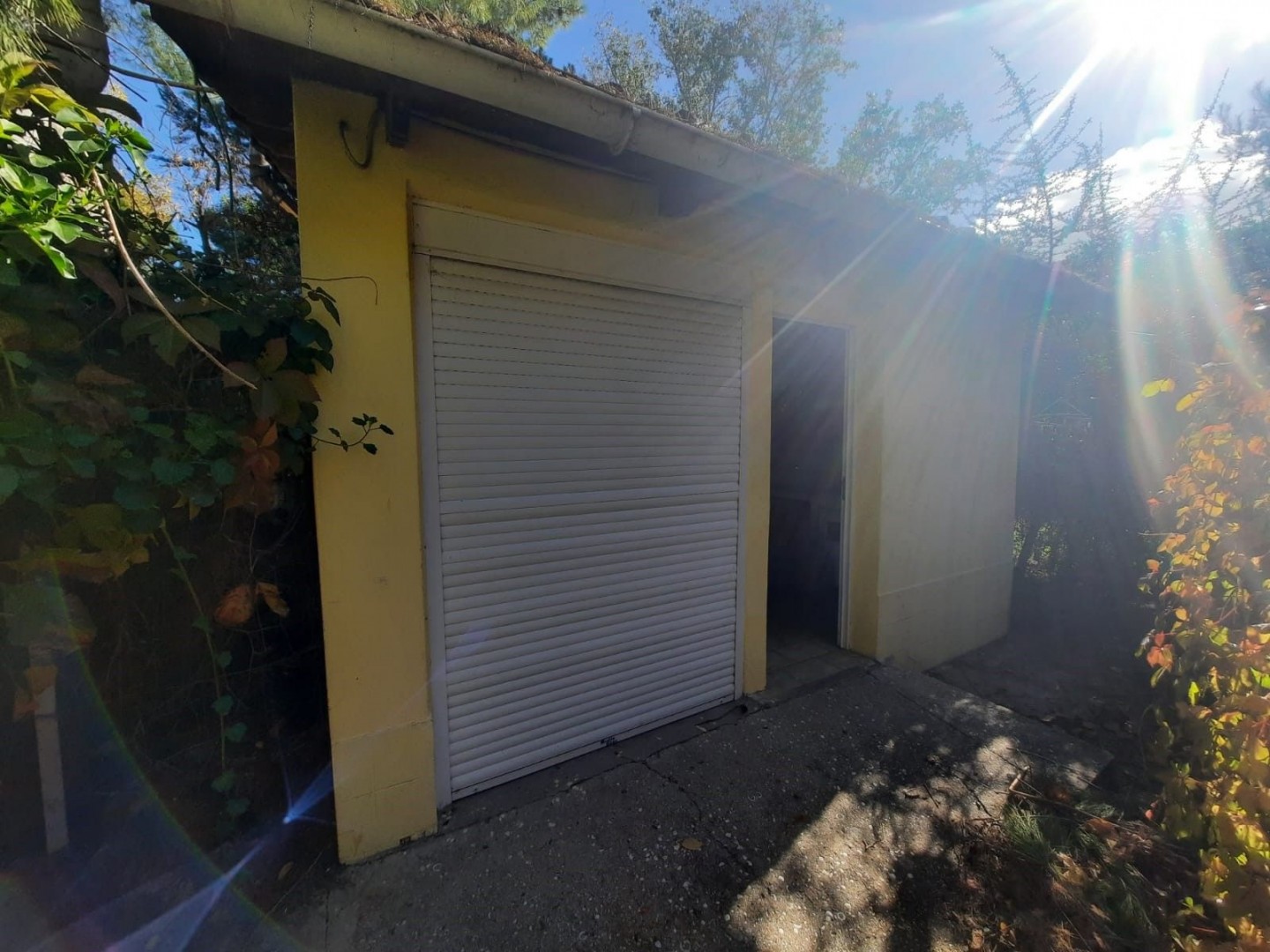 Casa en Venta en Azopardo 520,  Bahía Blanca - Bahía Blanca Propiedades | SITIO OFICIAL l