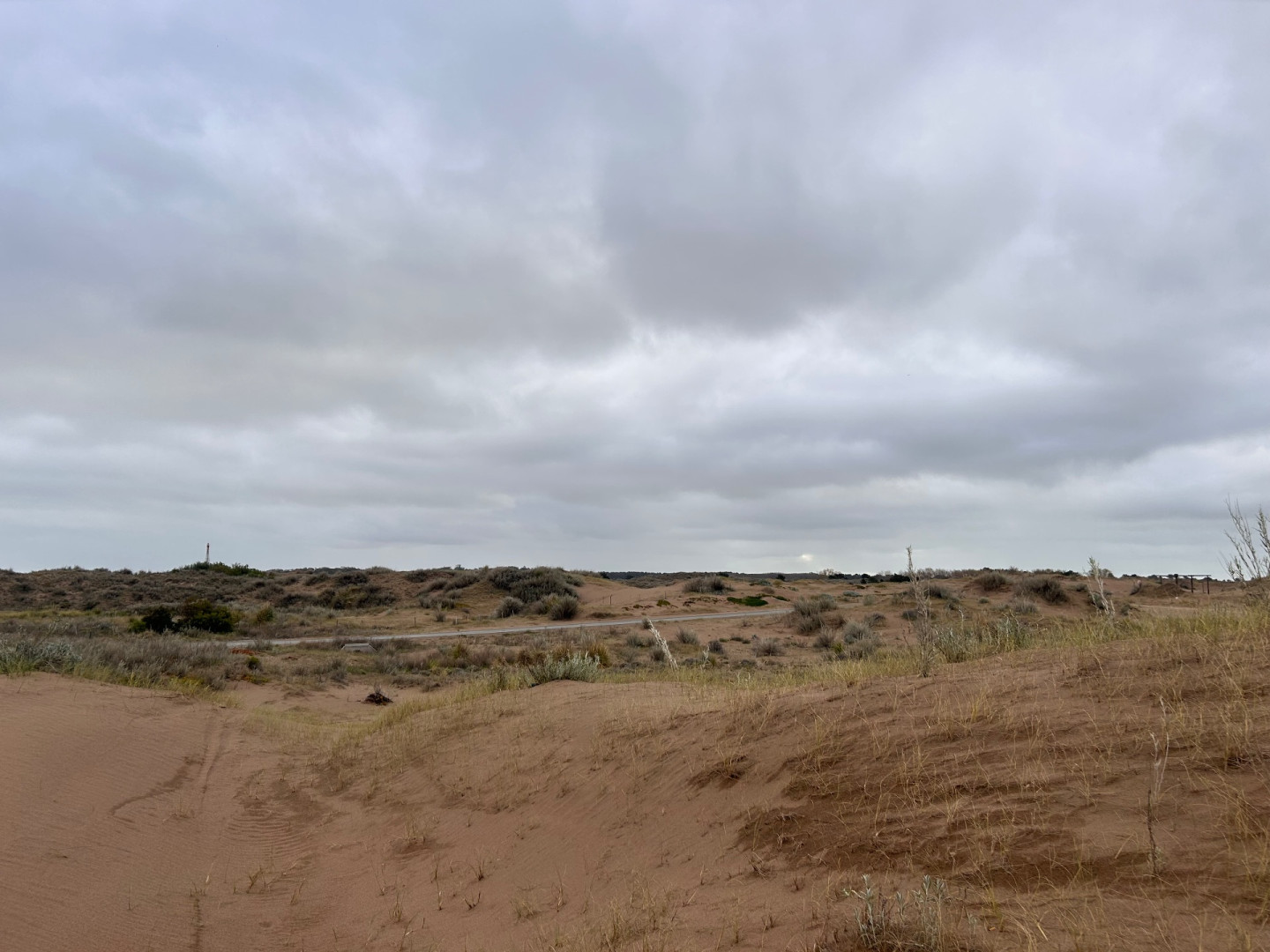Terreno en Venta en Puleston Entre Magdalena Y San Boronbom, El Sauce, Monte Hermoso - Bahía Blanca Propiedades | SITIO OFICIAL l