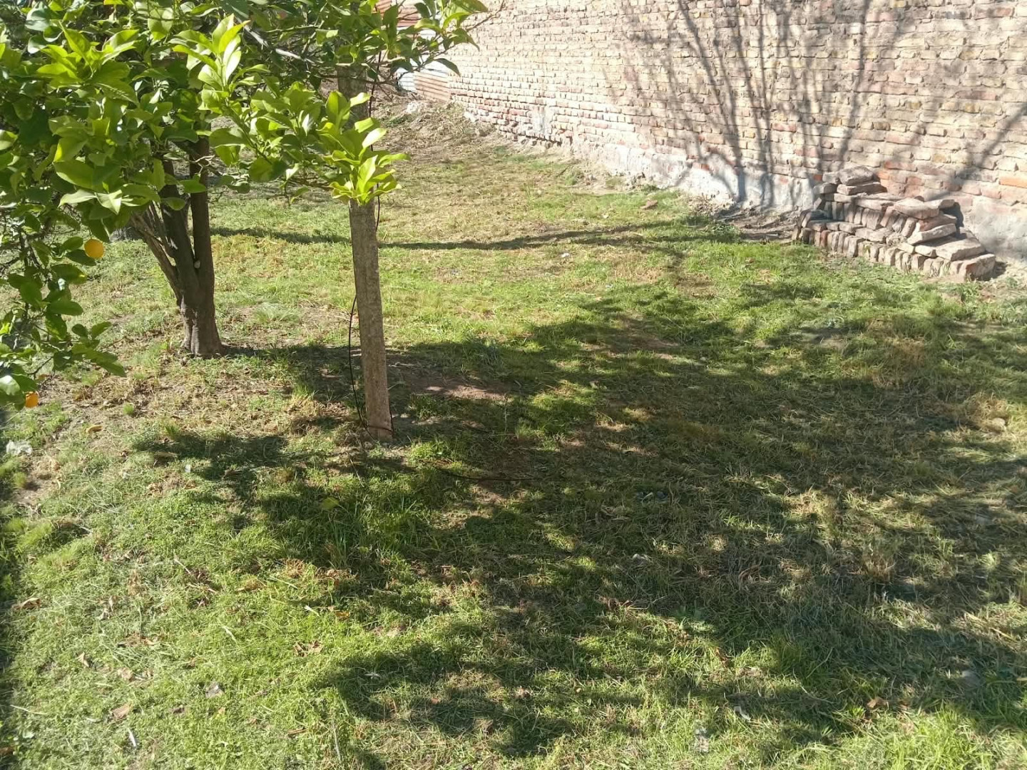 Casa en Alquiler en Drago 2640,  Bahía Blanca - Bahía Blanca Propiedades | SITIO OFICIAL l