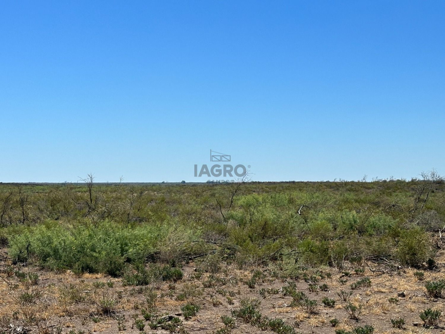 Campo  en Venta en Juan A. Pradere,  Carmen de Patagones - Bahía Blanca Propiedades | SITIO OFICIAL l