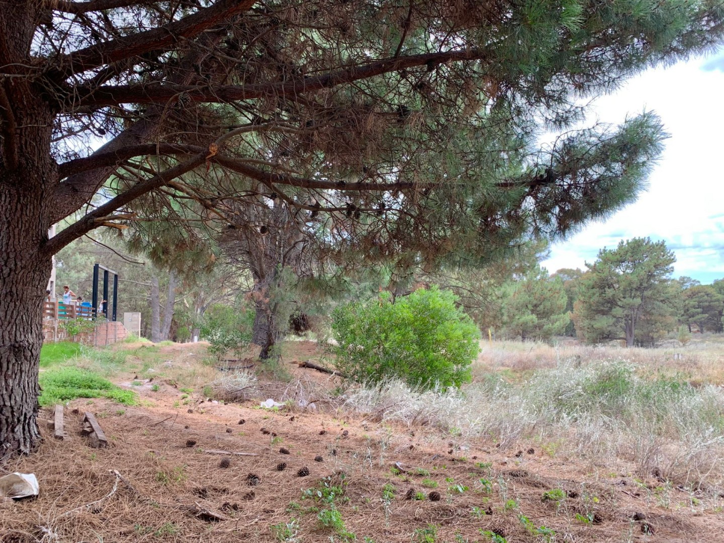 Terreno en Venta en Bosque Alegre E/Tronador Y El Colibrí, Monte del Este, Monte Hermoso - Bahía Blanca Propiedades | SITIO OFICIAL l
