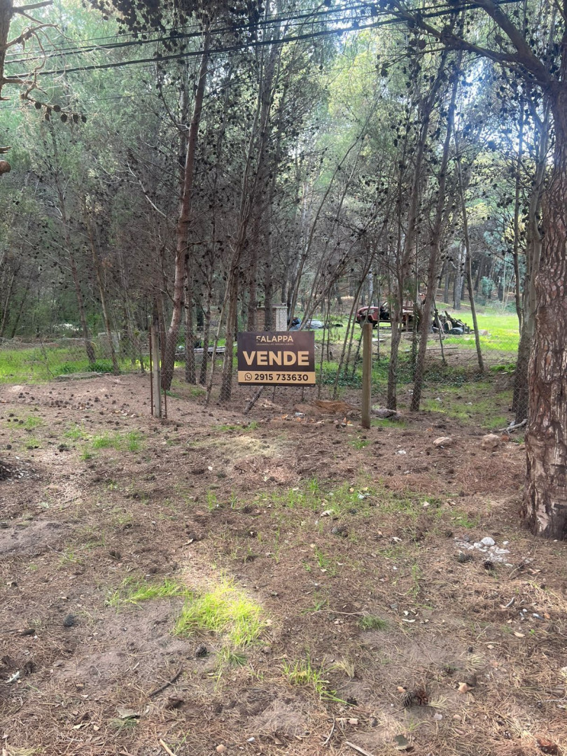 Terreno en Venta en Walich 50,  Pehuen Co - Bahía Blanca Propiedades | SITIO OFICIAL l