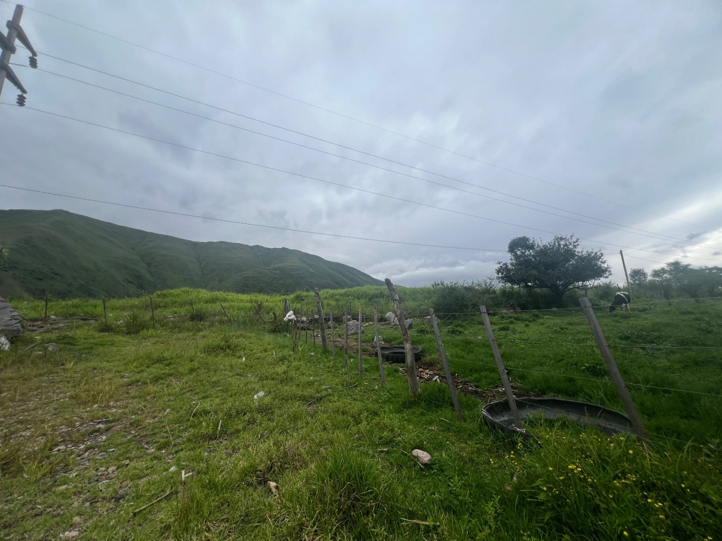 Terreno en Venta en Barcena,  Tumbaya - Jujuy - Bahía Blanca Propiedades | SITIO OFICIAL l
