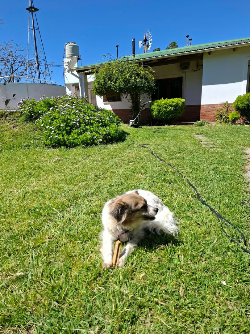 Casaquinta en Venta en Los Nogales Y Rawson, San Miguel, Bahía Blanca - Bahía Blanca Propiedades | SITIO OFICIAL l