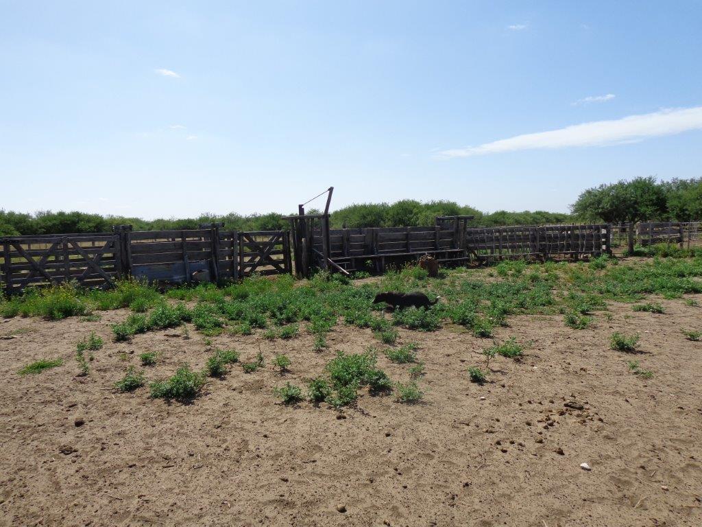 Campo  en Venta en Algarrobo Buenos Aires,  Algarrobo - Bahía Blanca Propiedades | SITIO OFICIAL l