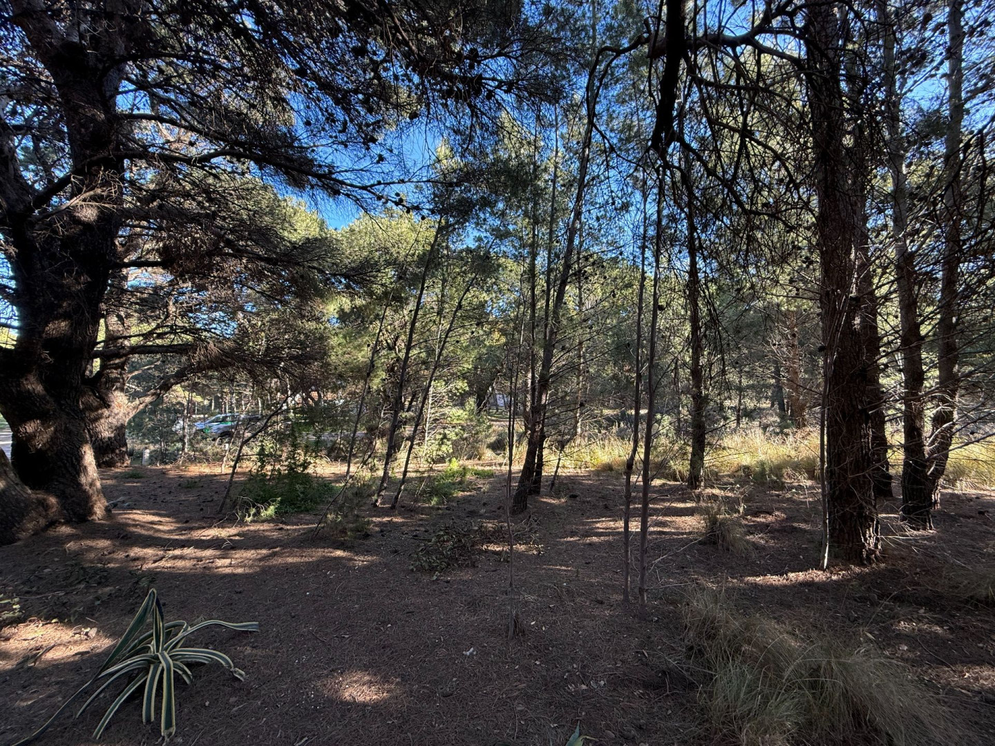 Terreno en Venta en Calle 8  Y Calle 1,  Pehuen Co - Bahía Blanca Propiedades | SITIO OFICIAL l