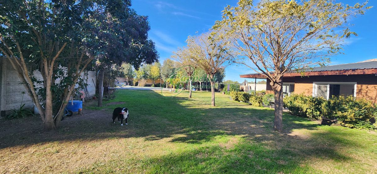 Galpón en Venta   Punta Alta - Bahía Blanca Propiedades | SITIO OFICIAL l
