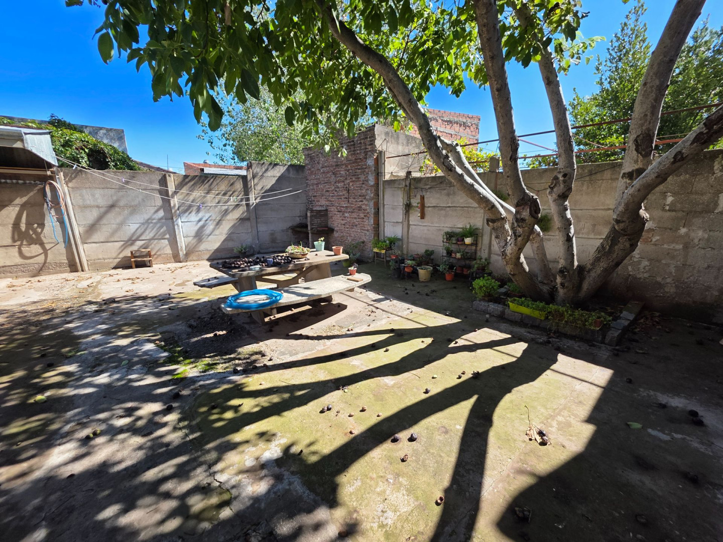 Casa en Alquiler en D'Angelis 44,  Bahía Blanca - Bahía Blanca Propiedades | SITIO OFICIAL l