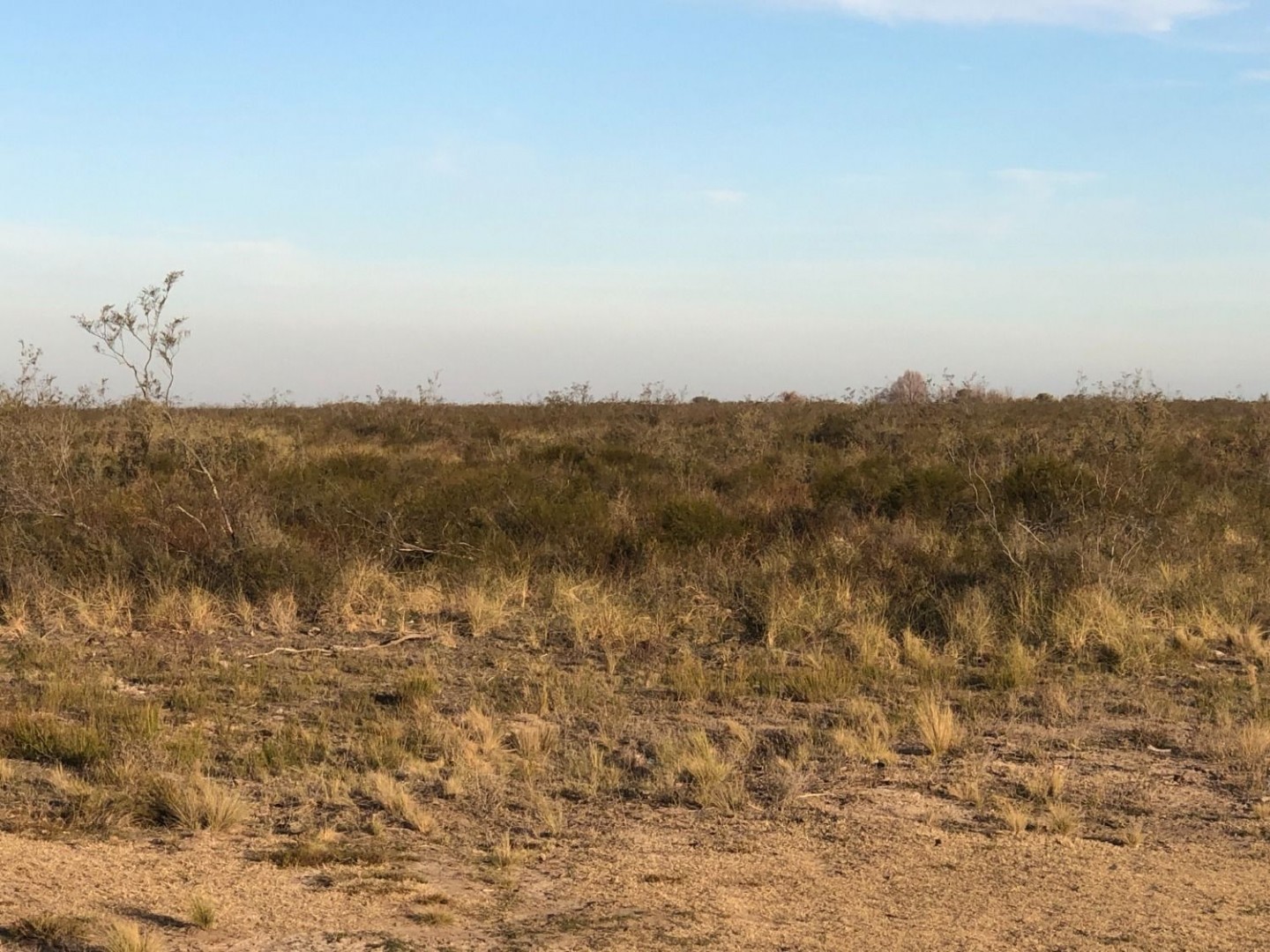 Campo  en Venta en Pradere,  Carmen de Patagones - Bahía Blanca Propiedades | SITIO OFICIAL l