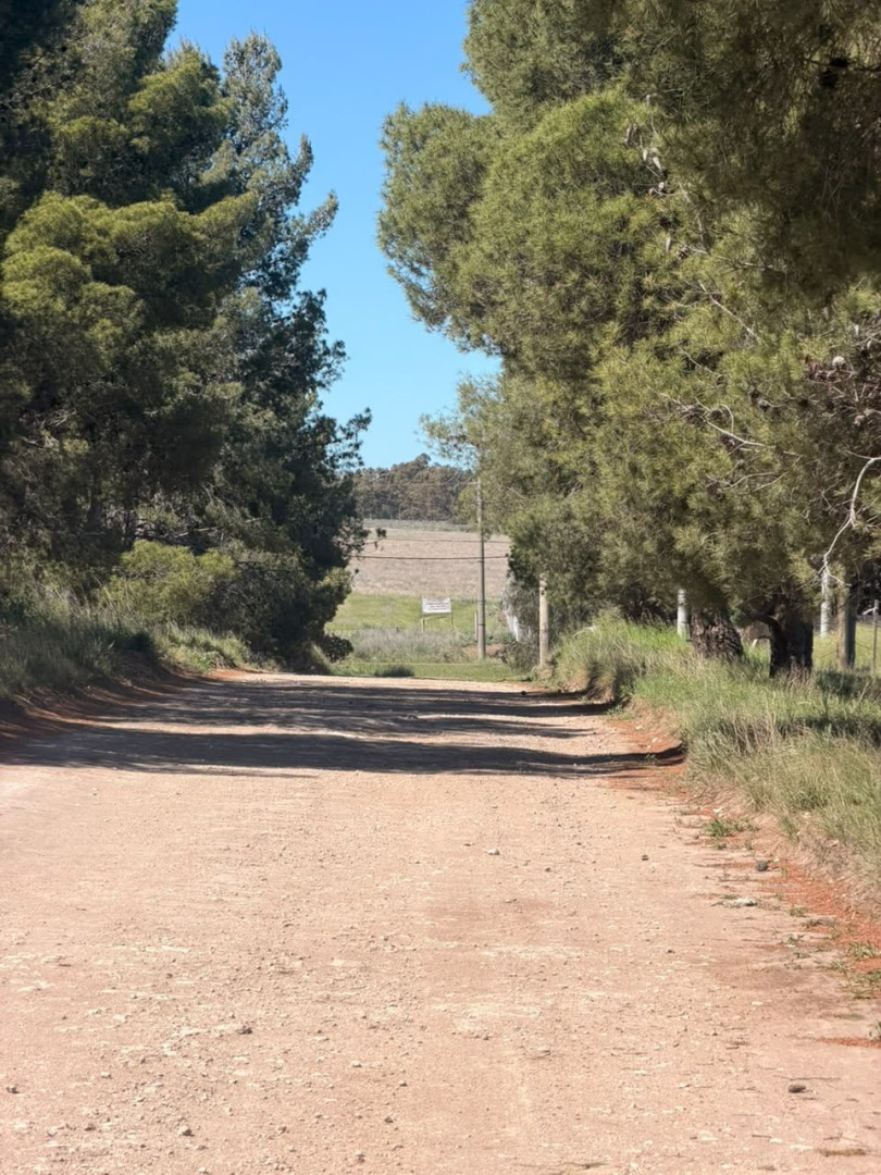 Terreno en Venta en El Resero 1600, San Carlos, Bahía Blanca - Bahía Blanca Propiedades | SITIO OFICIAL l
