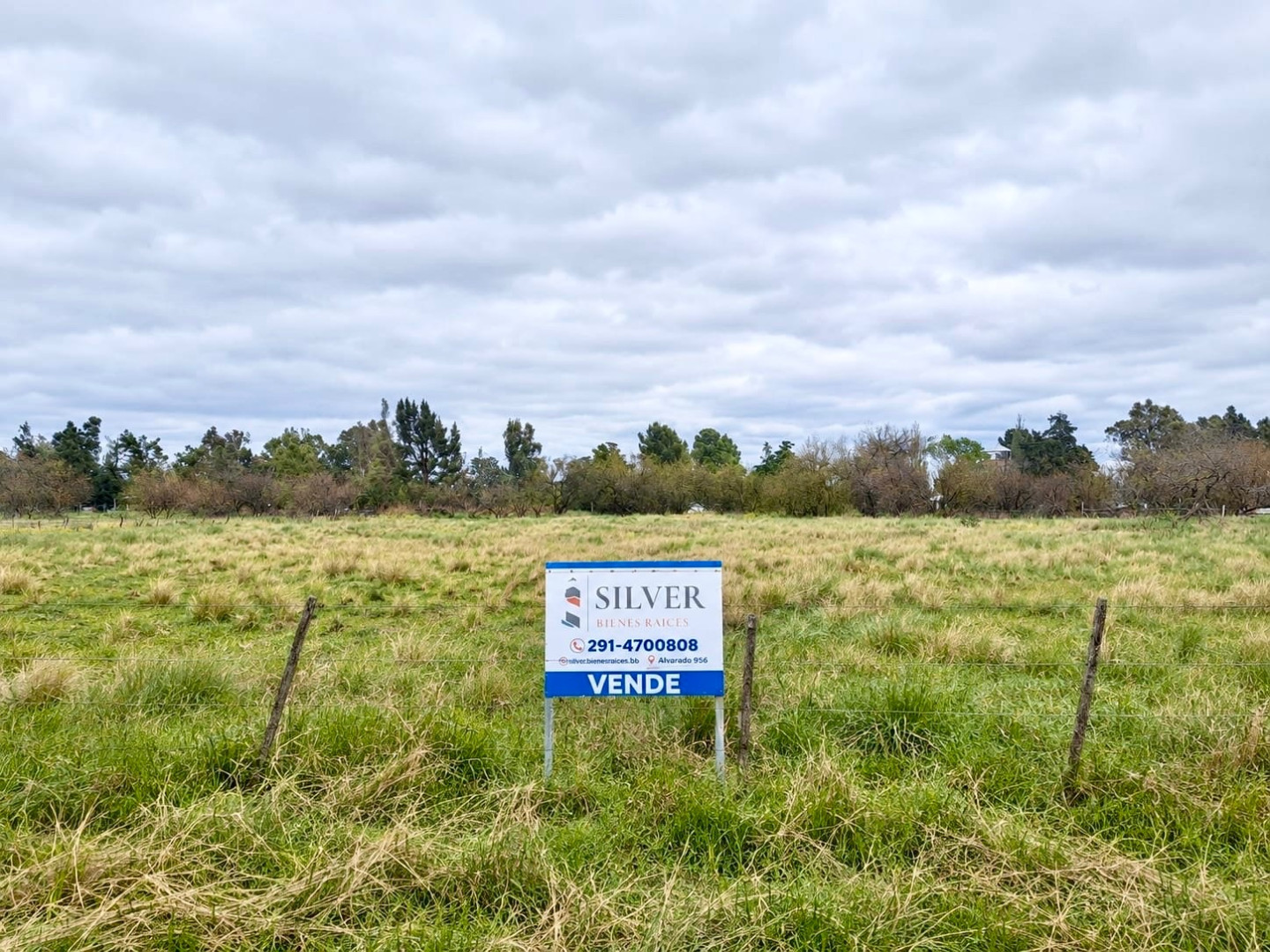 Terreno en Venta en Borlengui Entre Azara Y Liniers, Oro Verde, Bahía Blanca - Bahía Blanca Propiedades | SITIO OFICIAL l
