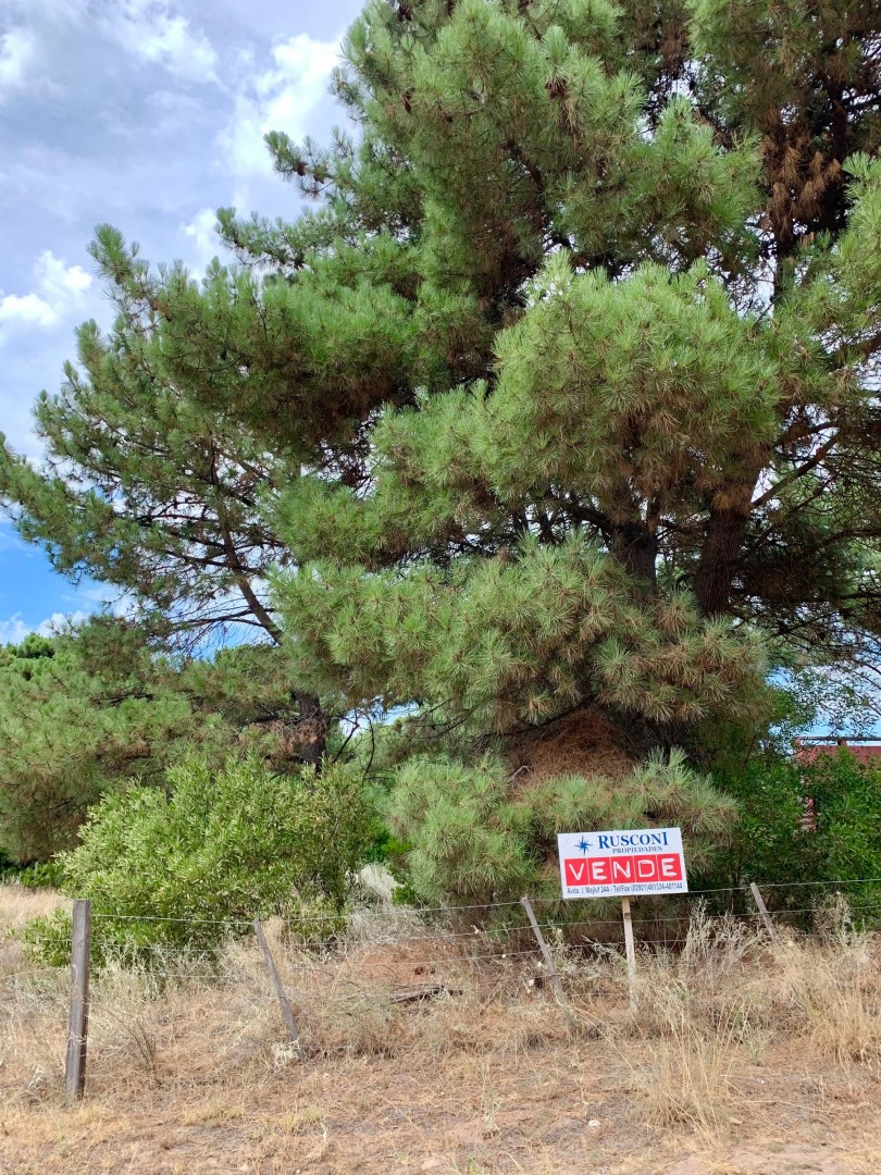 Terreno en Venta en Bosque Alegre E/Tronador Y El Colibrí, Monte del Este, Monte Hermoso - Bahía Blanca Propiedades | SITIO OFICIAL l