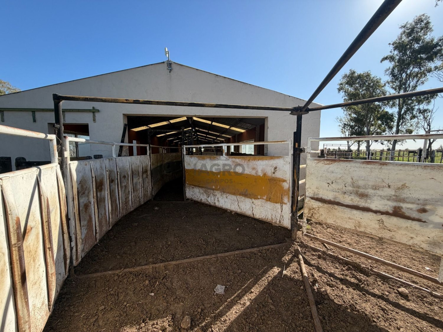 Campo  en Venta en Coronel Dorrego,  Coronel Dorrego - Bahía Blanca Propiedades | SITIO OFICIAL l